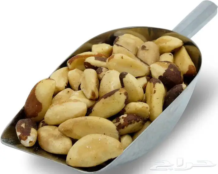 اللوز البرازيلي الآصلي 0