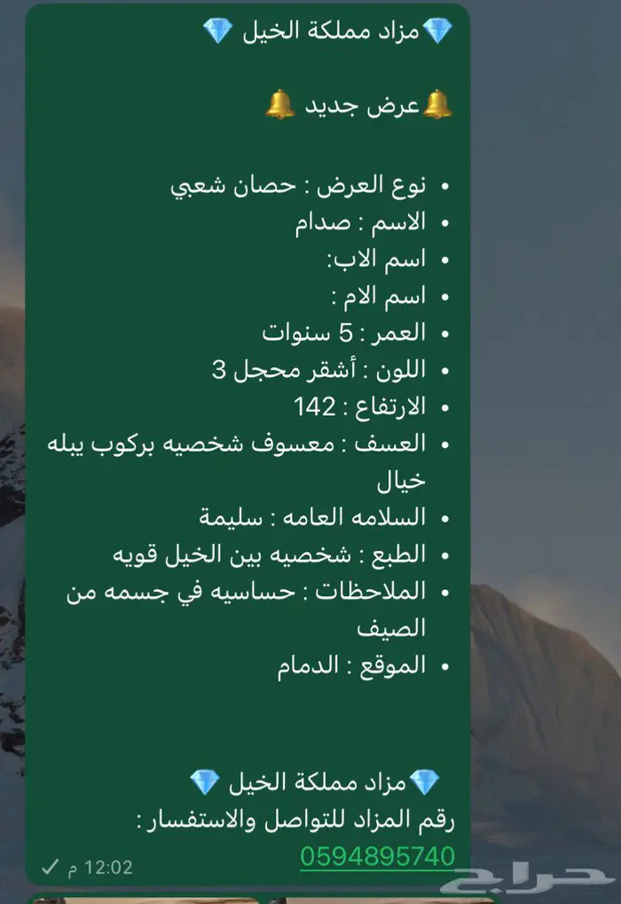 خيل 1