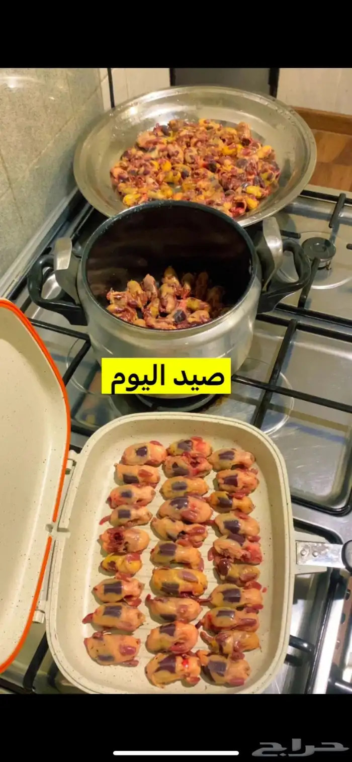 متوفر طازج 0