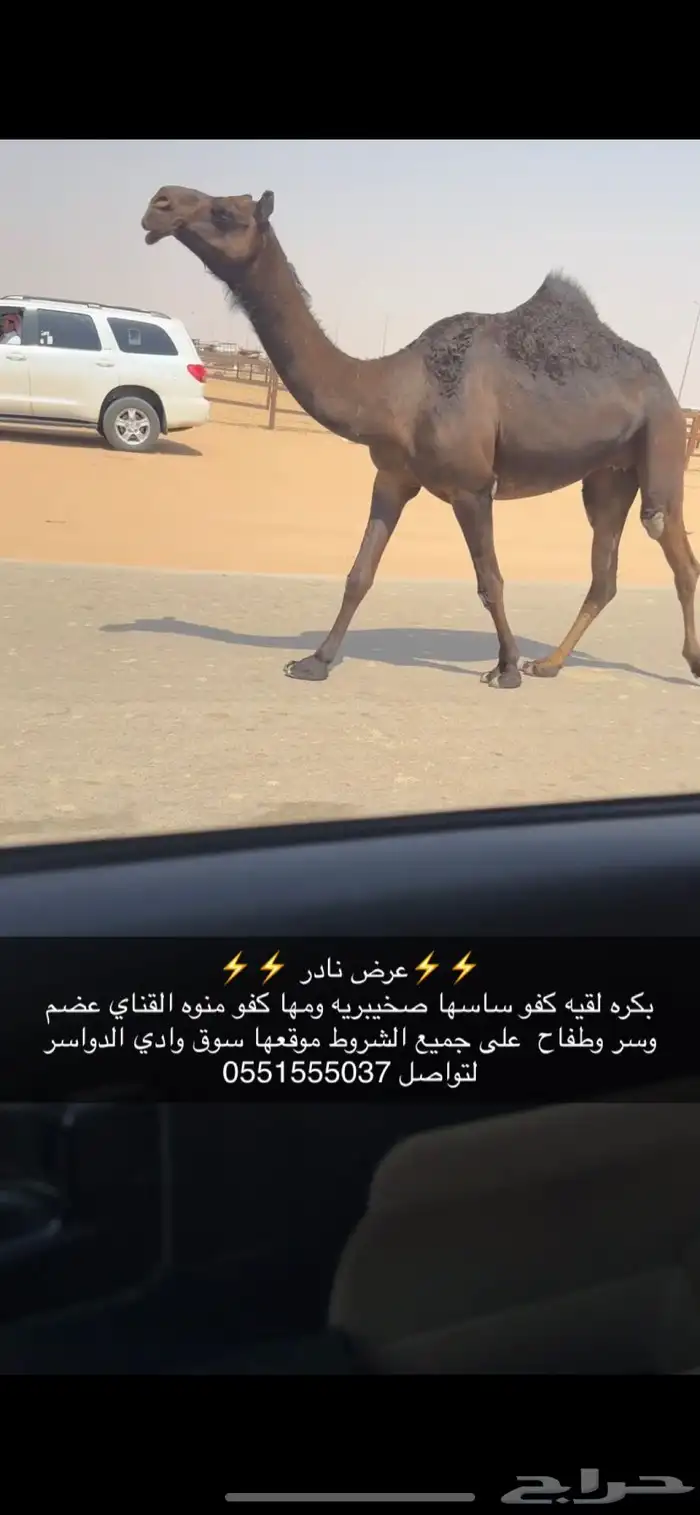 بكره مجهم 2