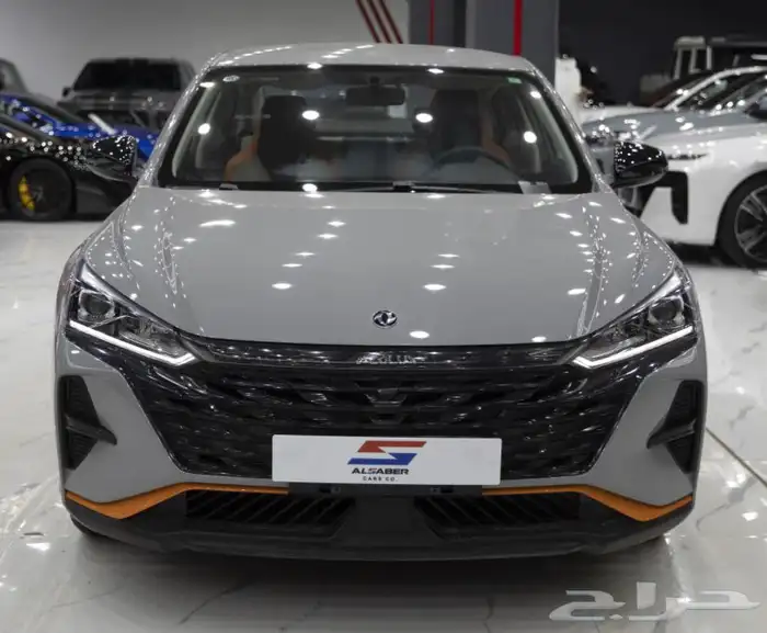 قطع غيار دونج فينج E1 2023. شمعات صدامات 0