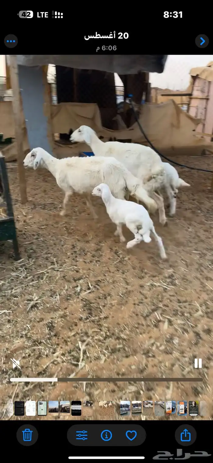 للبيع شاتين 2