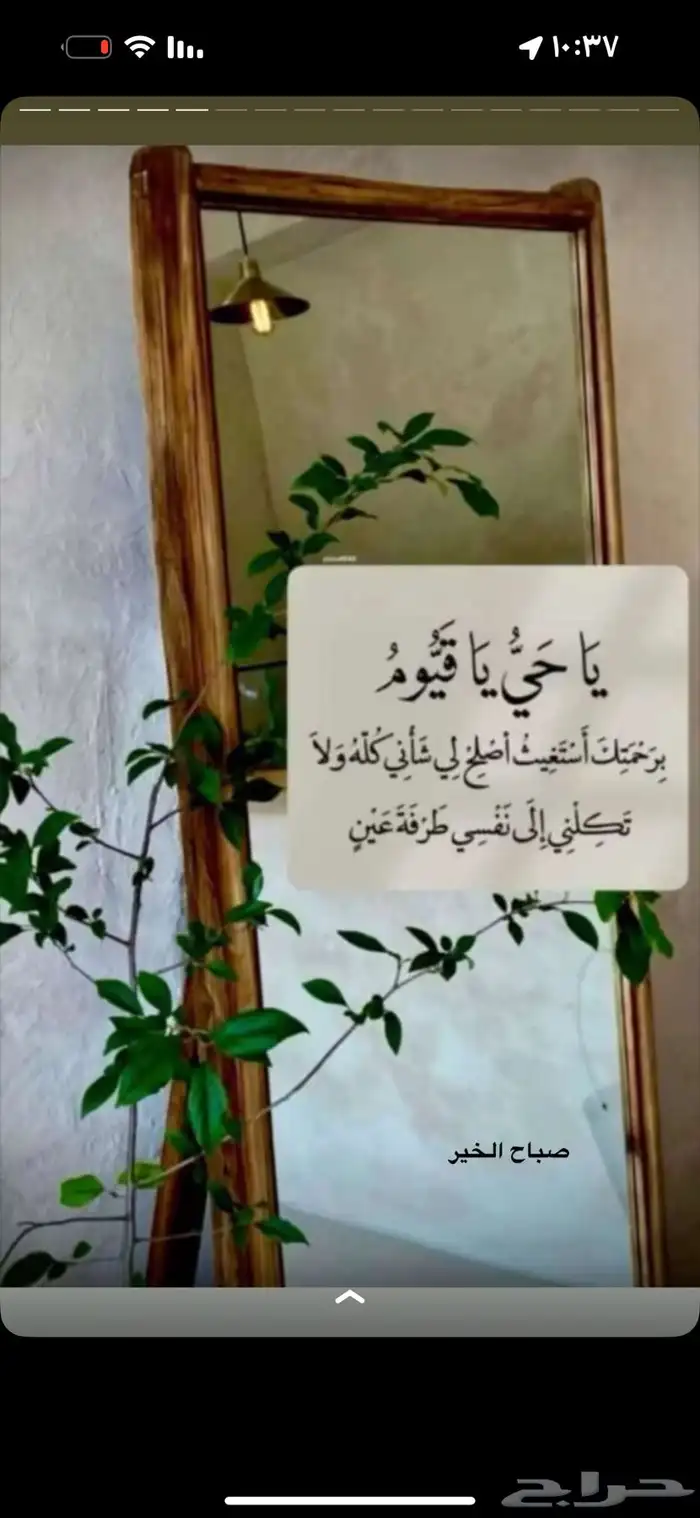 مطلوب شقة أ و دور للايجار 0
