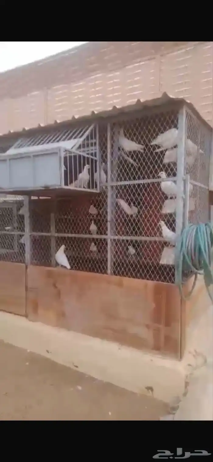 صنادق حمام حديد 2