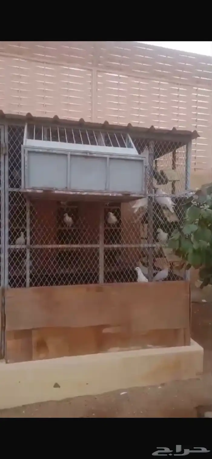 صنادق حمام حديد 3