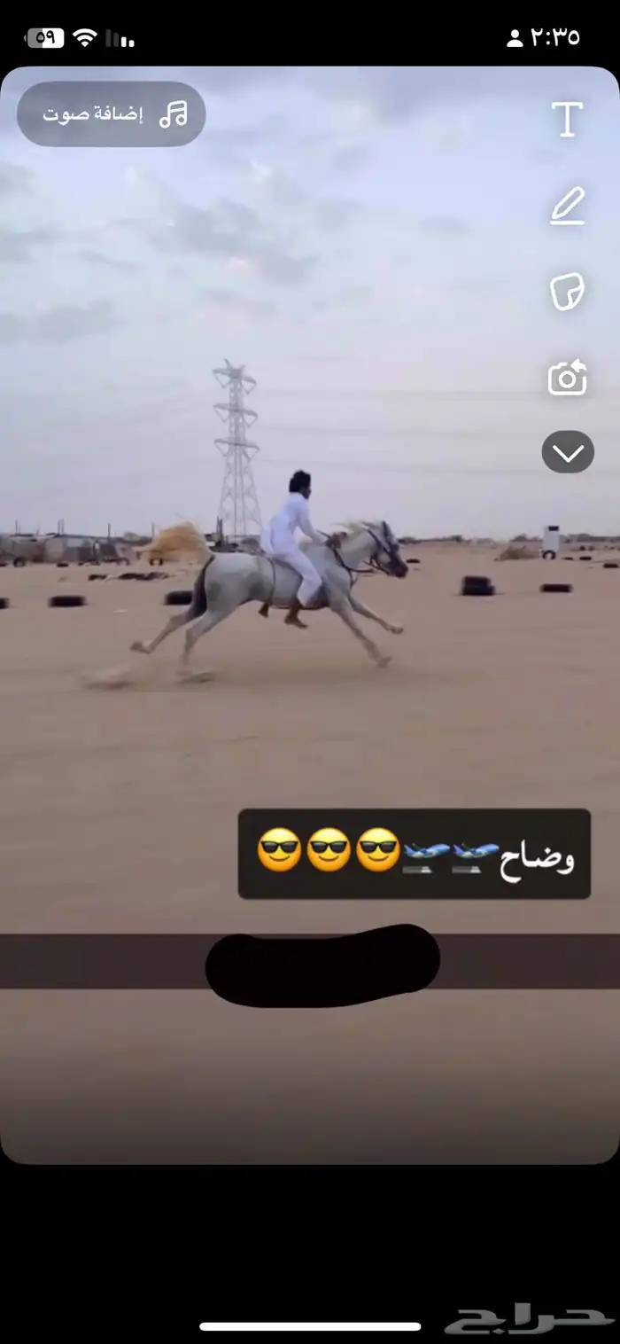 حصان شعبي كفو 0