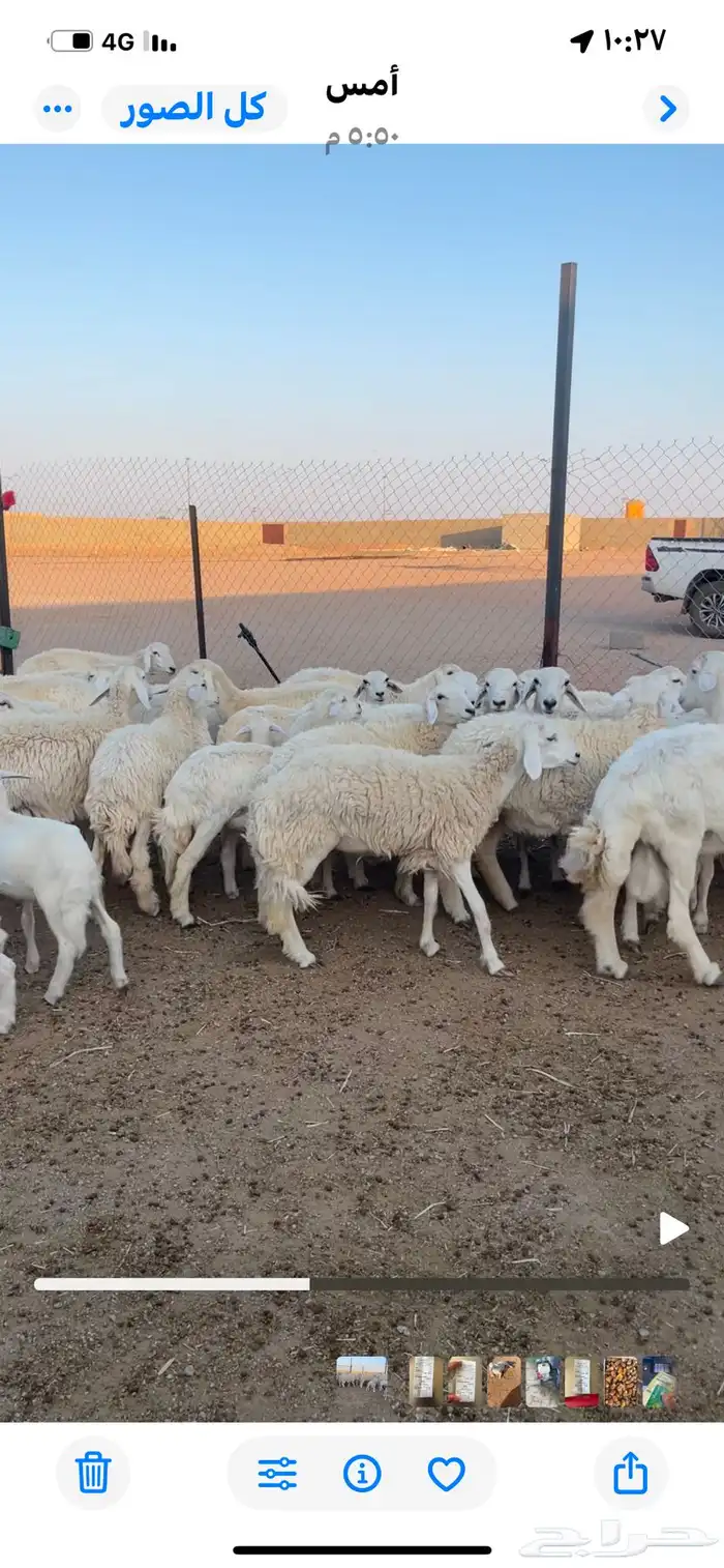 الرس 1