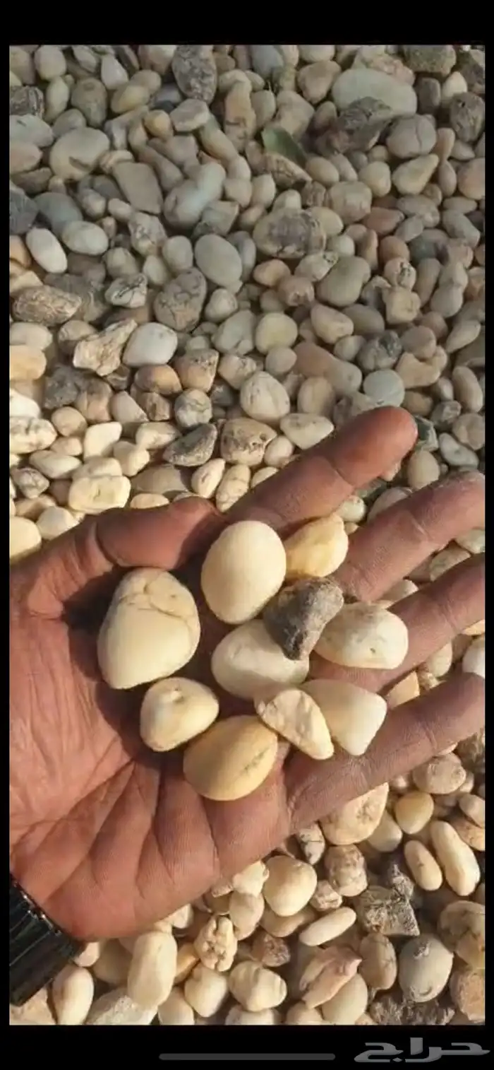 توريد جميع انواع حجر الزينة 3
