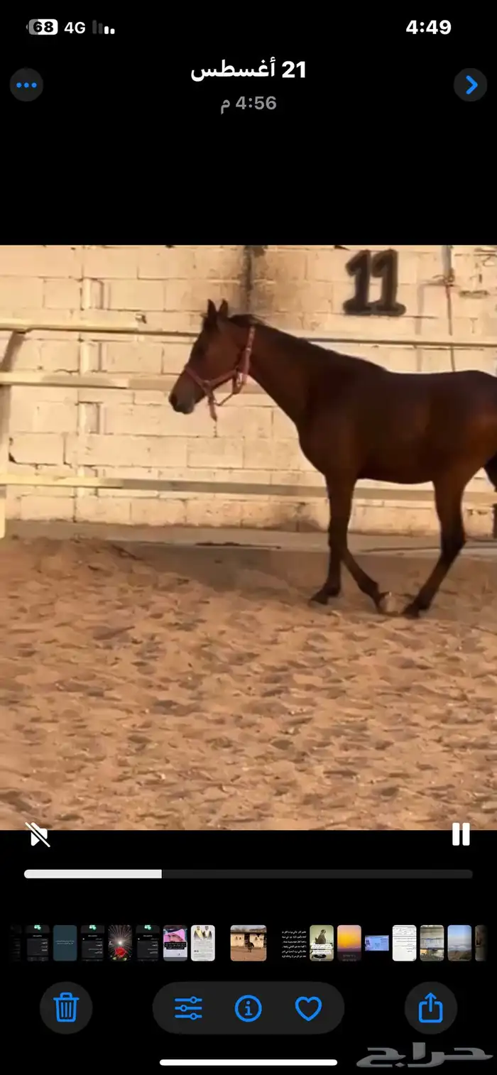 مهره عمرها سنتين وشهرين 1