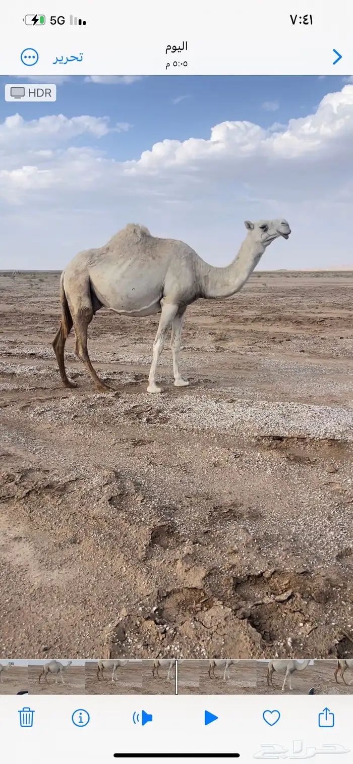 للبيع العشرا اطيبه 1