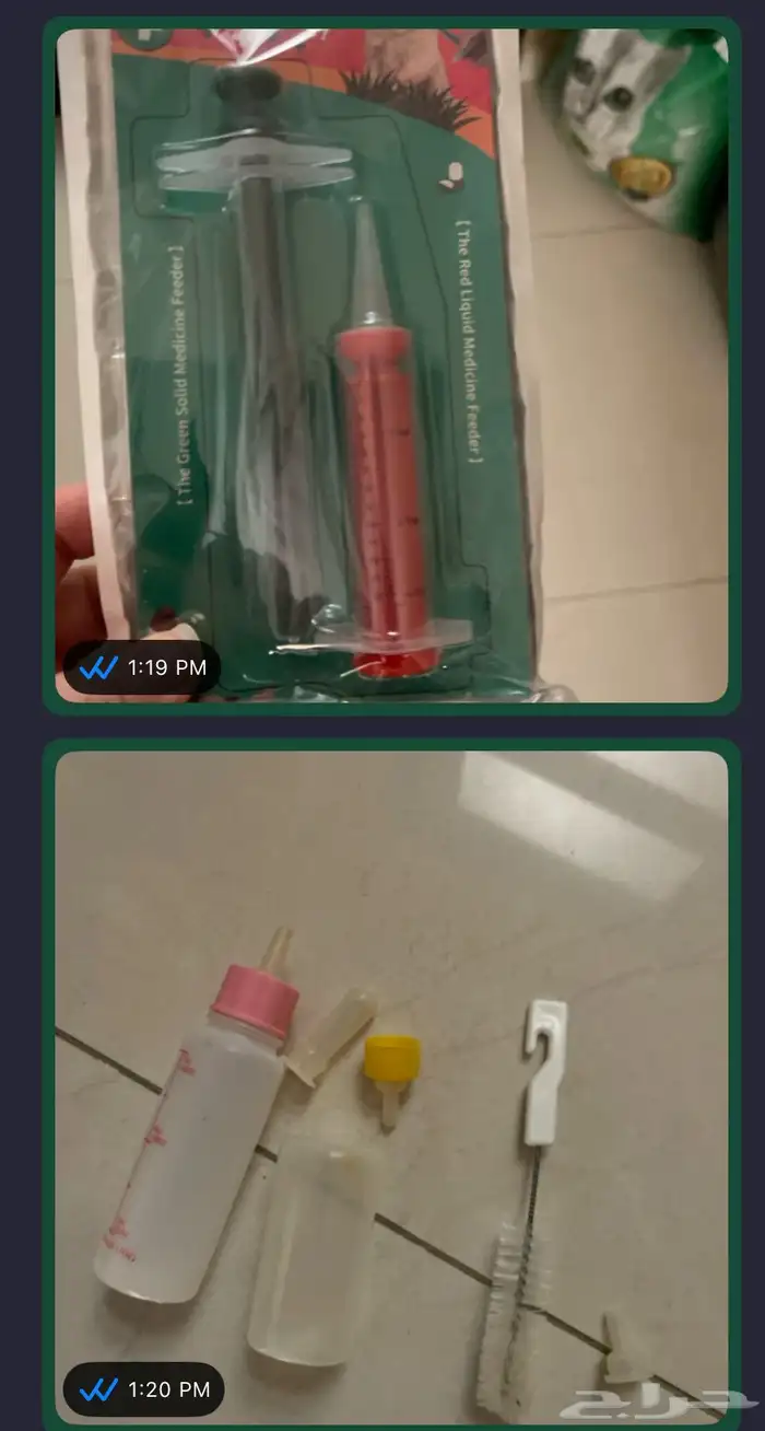 اعراض قطط للبيع 6