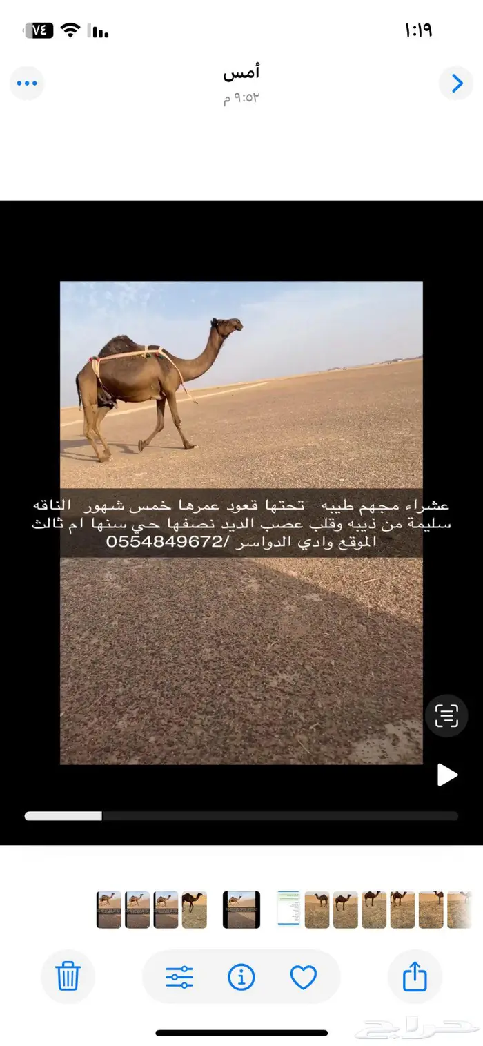 وادي الدواسر 1