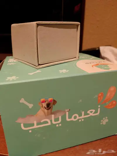 كلبه من نوع شيواوا المكسيكيه index