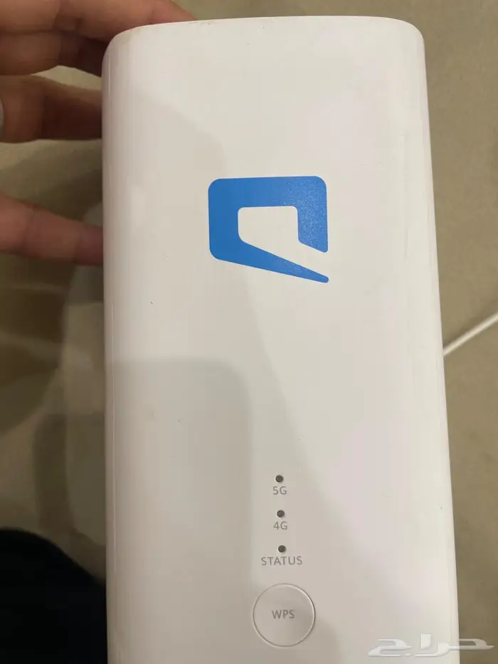 القنفذه 0