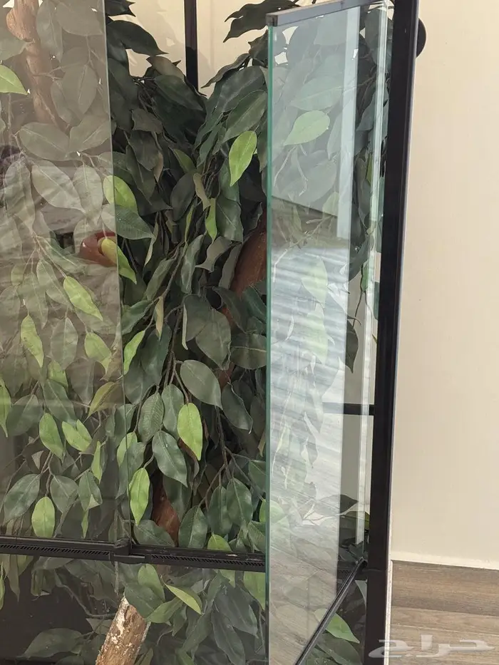 حوض قفص حرباء سلحفاة REPTI ZOO 6