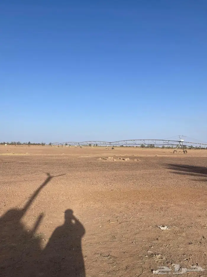 حائل الشنان 0