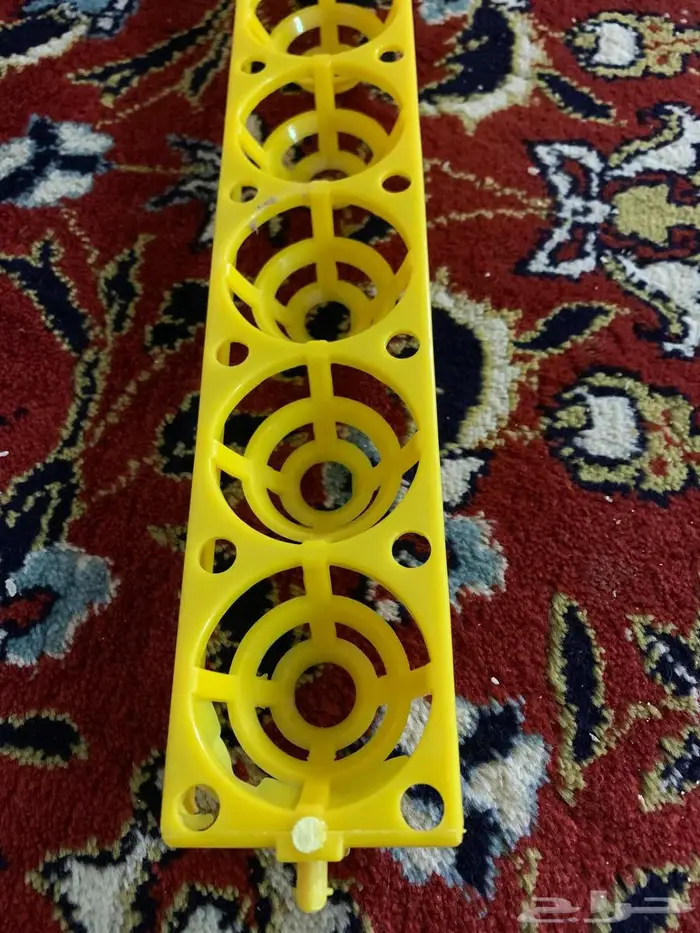 فقاسه 98 بيضه عون المربي 2