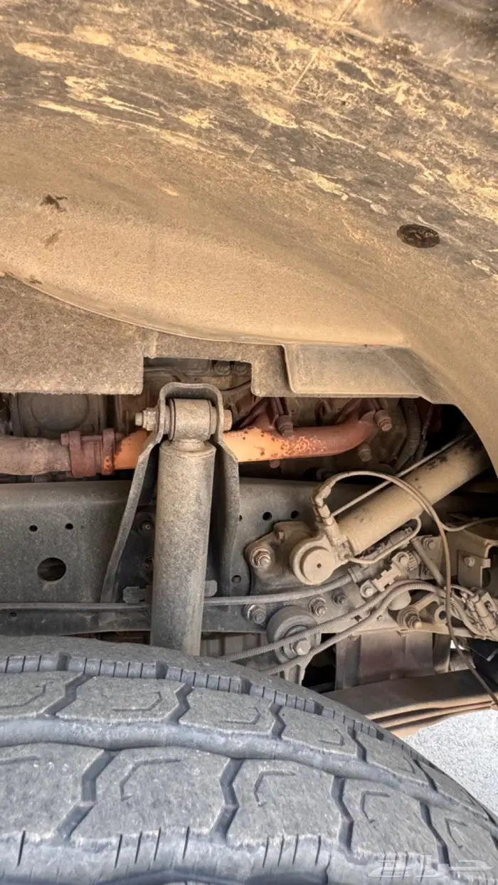 وايت اكتروس سكس للبيع 11