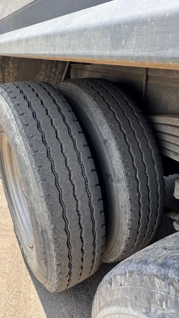 وايت اكتروس سكس للبيع 13