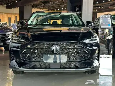 MG 1 2024 index