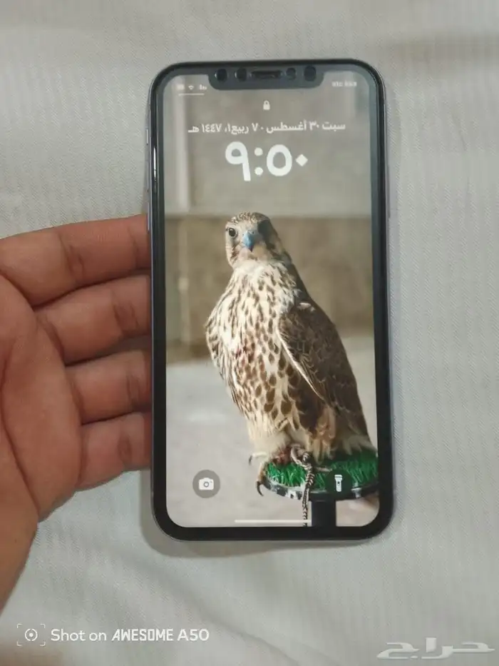 البيع ايفون11عادي 0