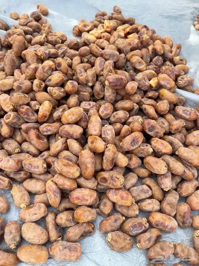 تمر خلاص 1