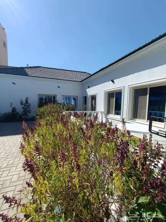 راحة استراحة فاخرة للايجار اليومي 23