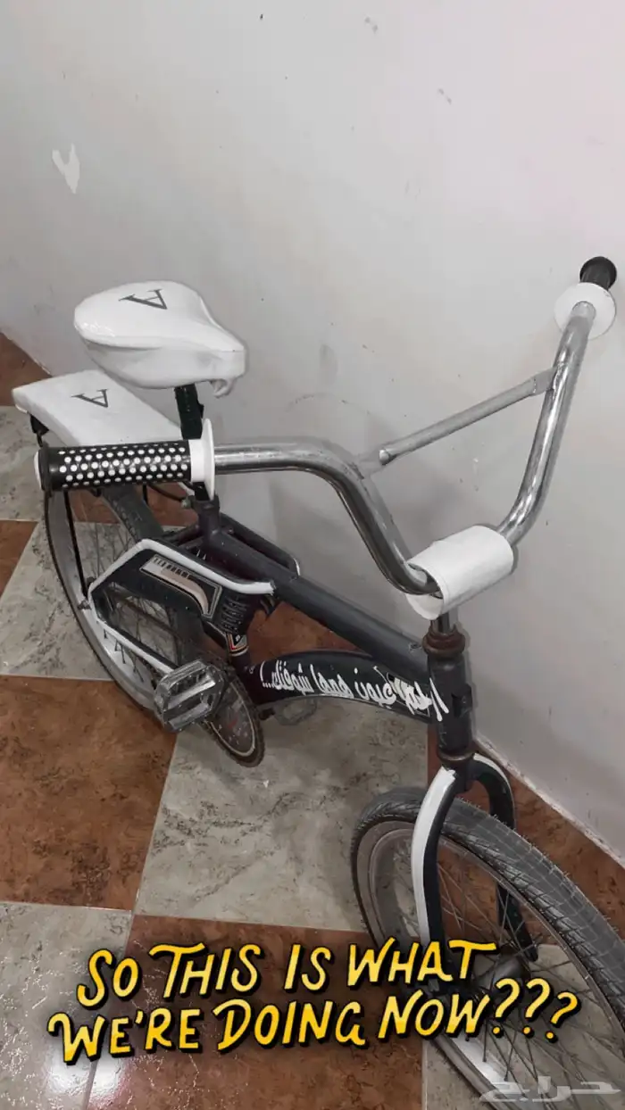 رامبو ازراق حالته ممتازه بس في بعض شموخ 0