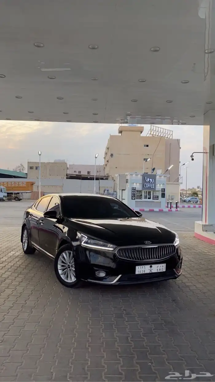كدنزا2018 8