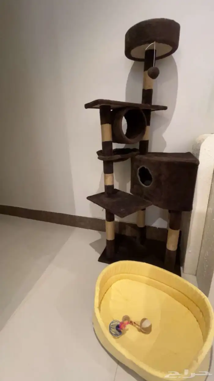 بيت قطط 0