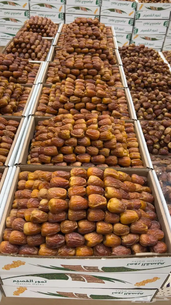 تمر القصيم 2