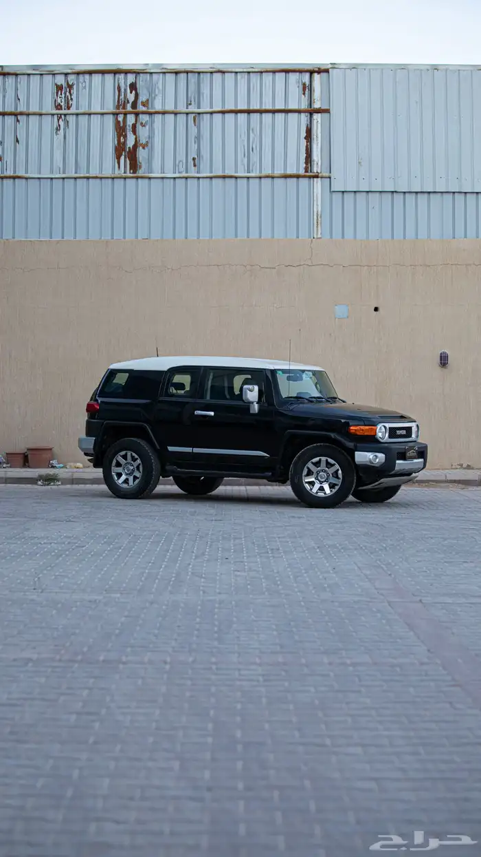 أف جي  (2019) 3