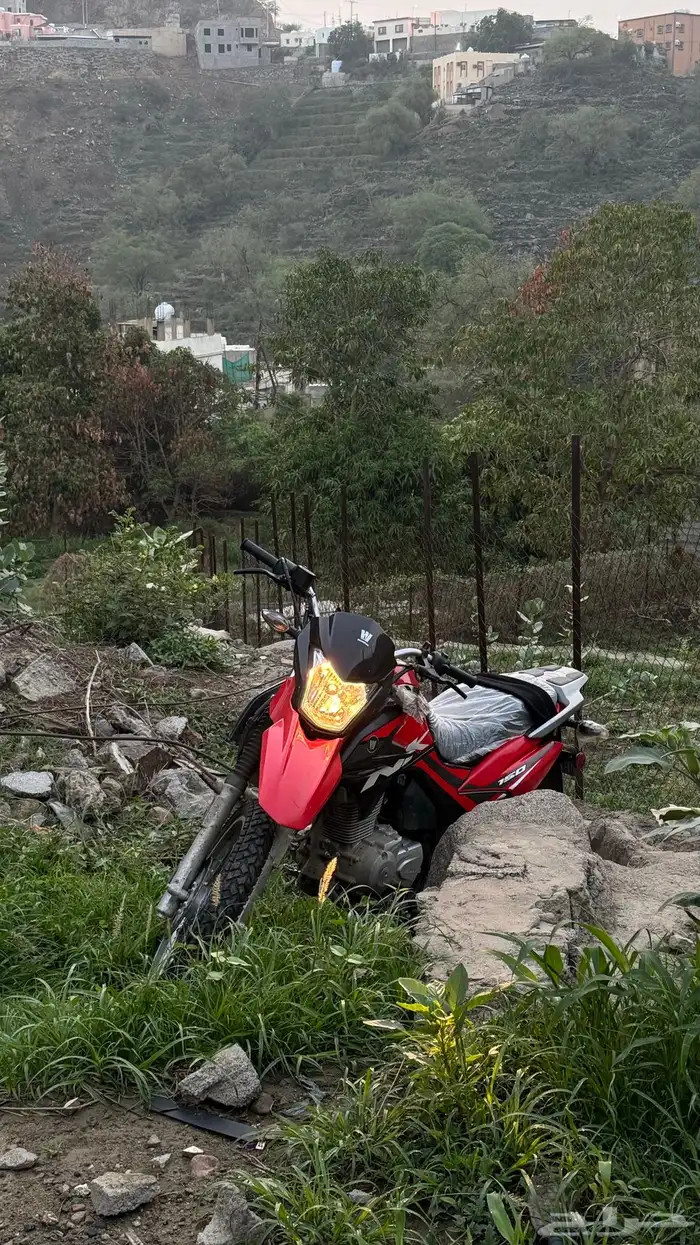 دباب nk150 للبيع 1