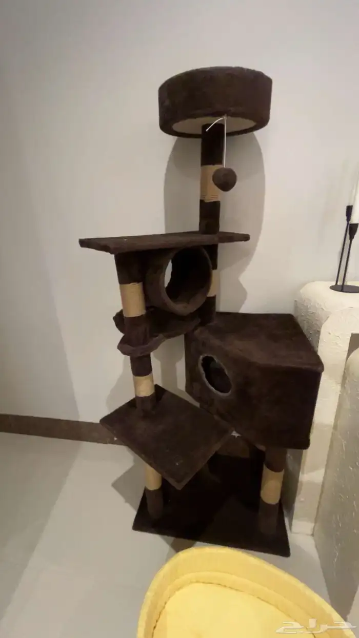 بيت قطط 1