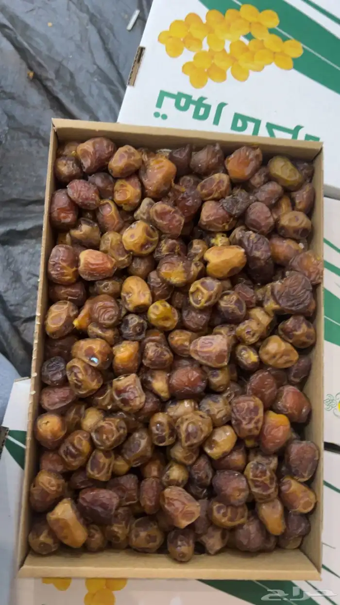 تمر سكري   مفتل   ورشودي   ورطب   وجالكسي 3