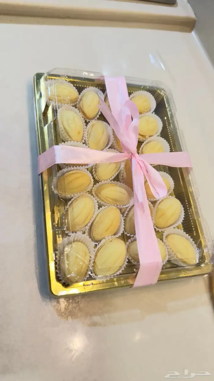 جوزيه 6