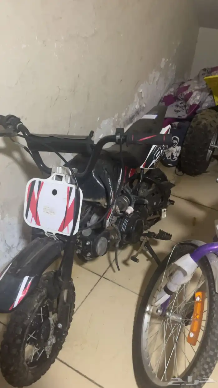القطيف العواميه 1