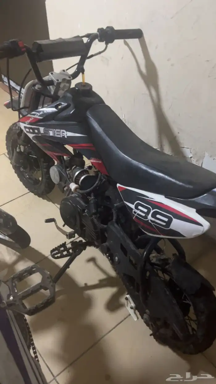 القطيف العواميه 2