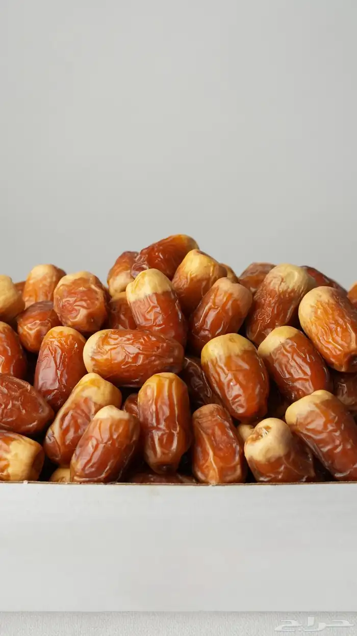 صقعي الدلم الفاخر 0