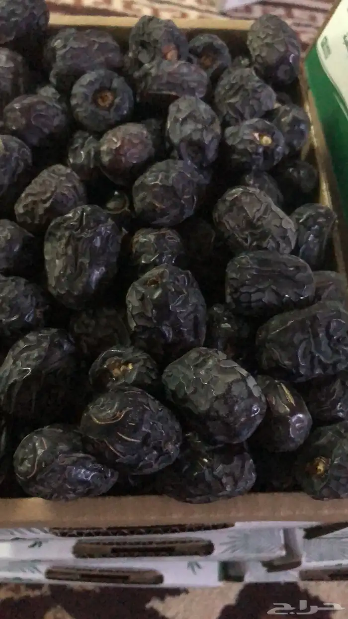 عجوى فاخره للبيع 0
