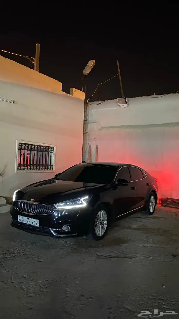 كدنزا2018 4