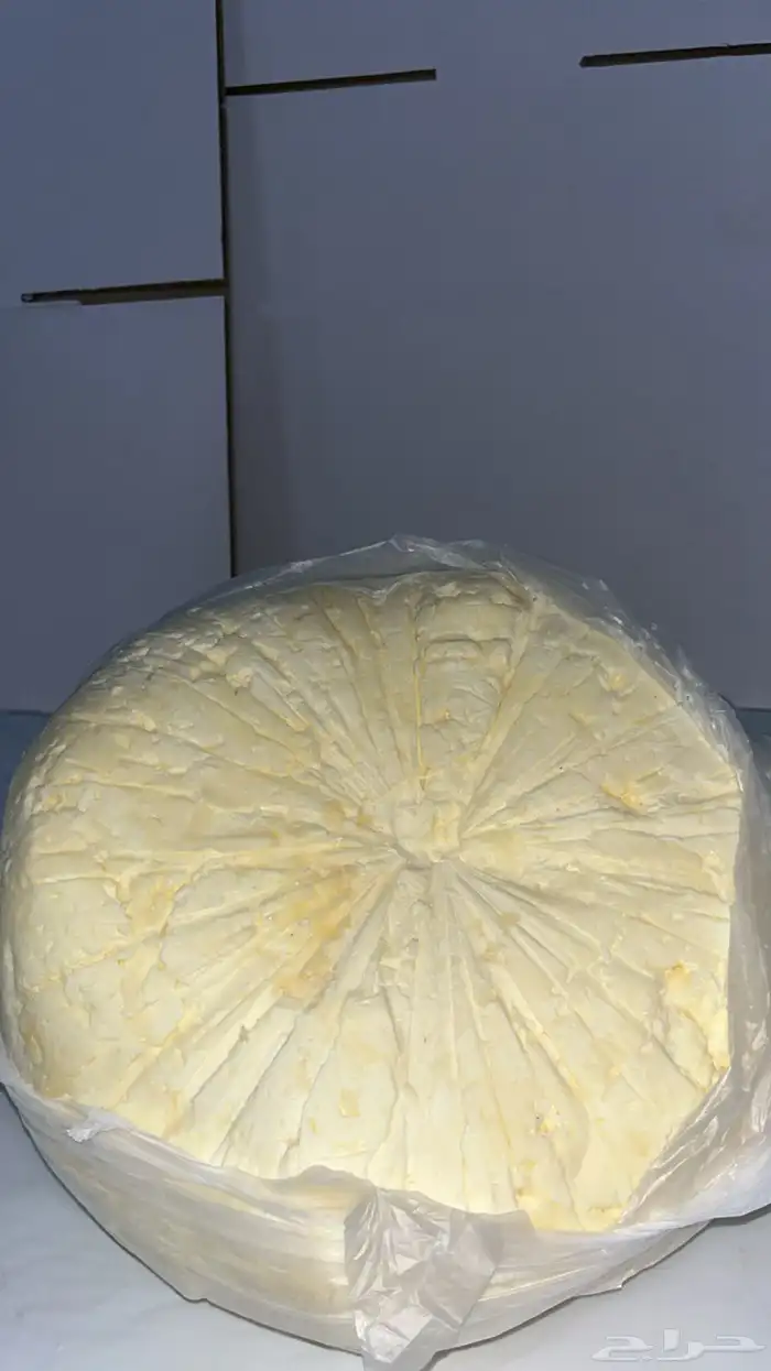 سمن مضير 11