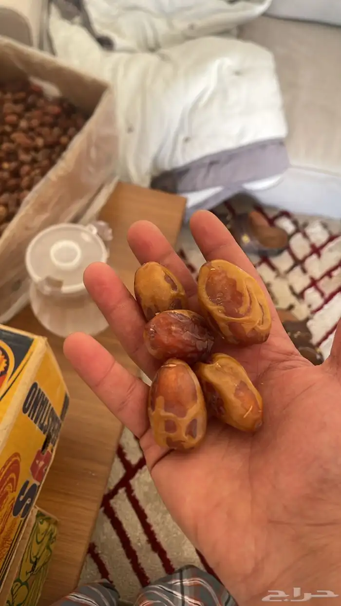 متوفر اخلاص اوشيقر شي فاخر بدون ازمام كل حبه منظف من الغبار 0