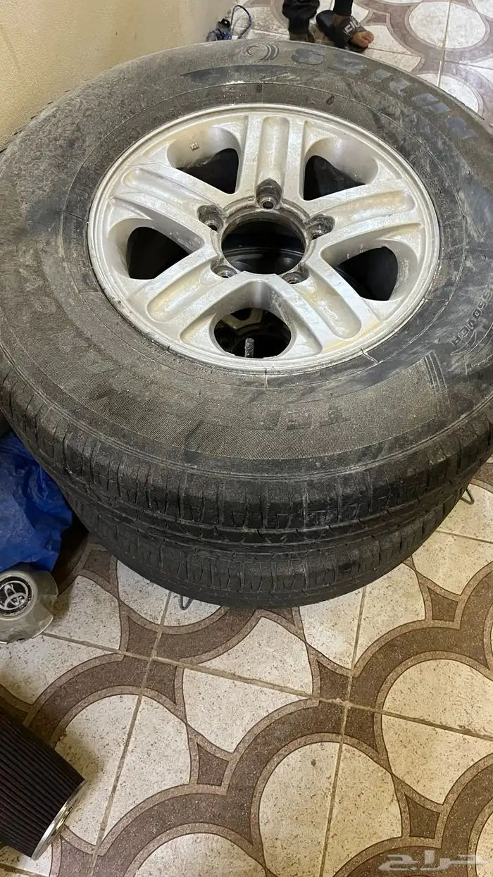 جنوط للبيع 2