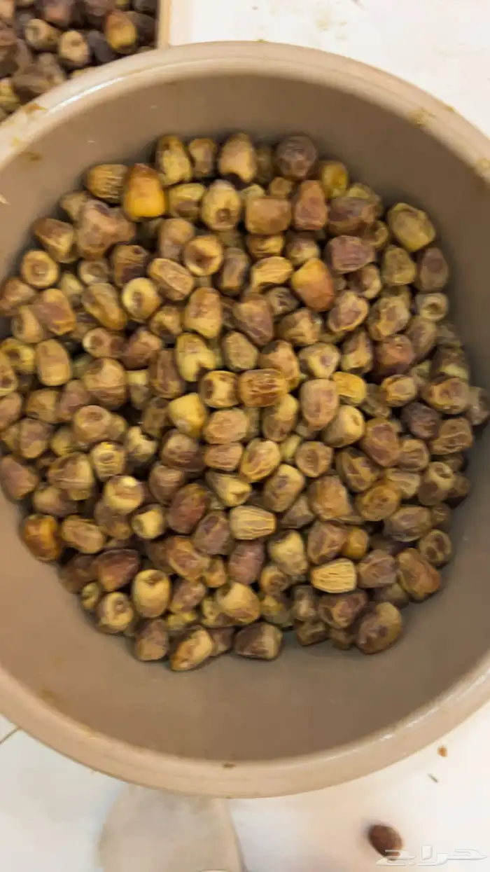 تمر سكري   مفتل   ورشودي   ورطب   وجالكسي 7