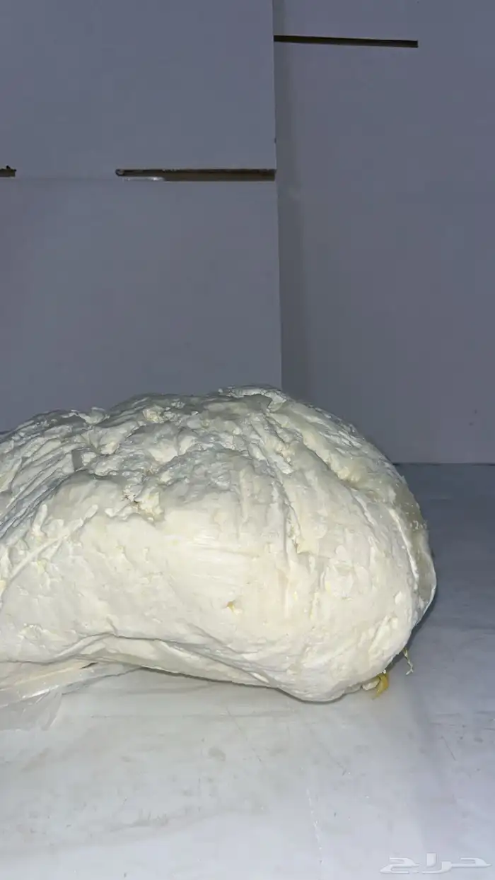سمن مضير 2