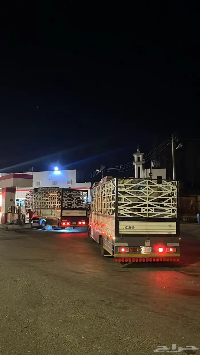 لوري لنقل دينه لنقل 7م صندوق كبير 6