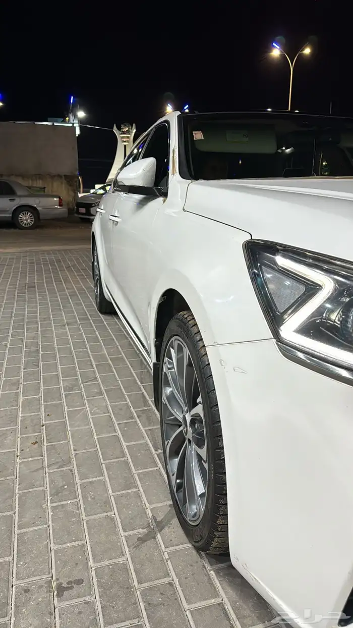 كادينزا 1