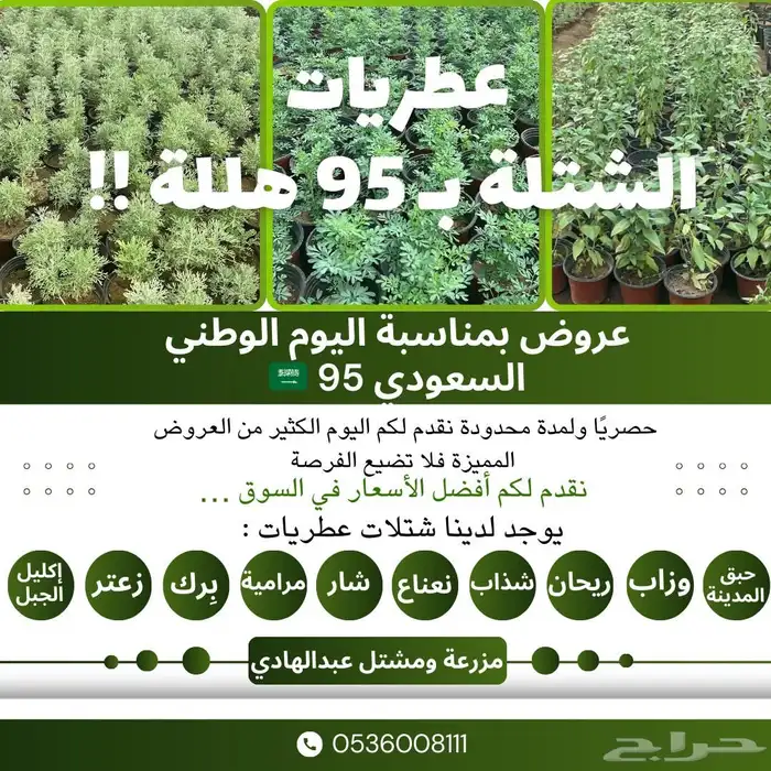 شتلات بعرض خاص بمناسبة اليوم الوطني 2