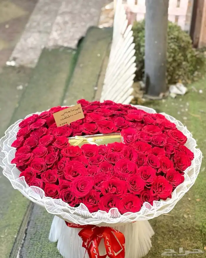 ورد ابها وخميس مشيط 1